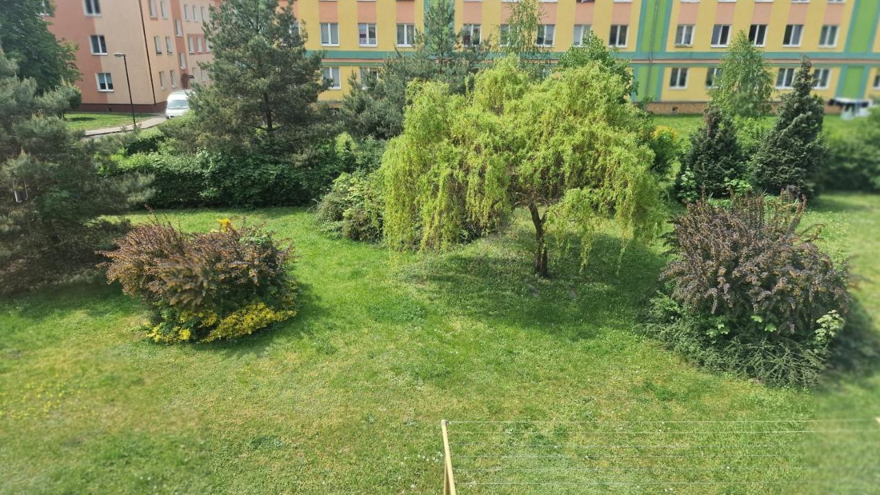 Alfama Garden Apartment Grudziądz Exterior photo